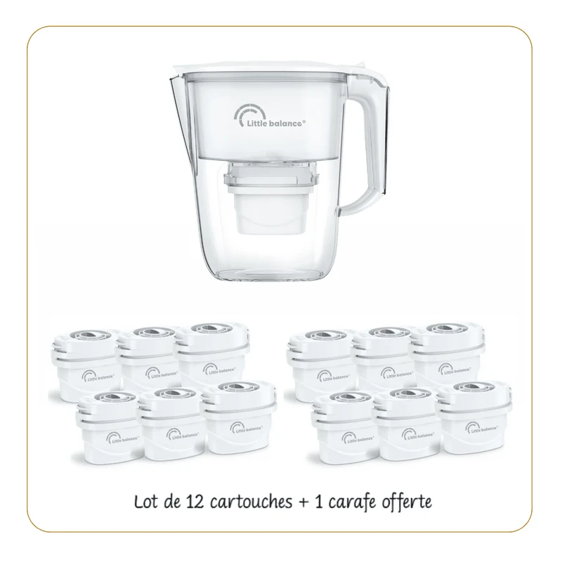 Cartouches filtrantes, Lot de 12 cartouches + 1 carafe offerte