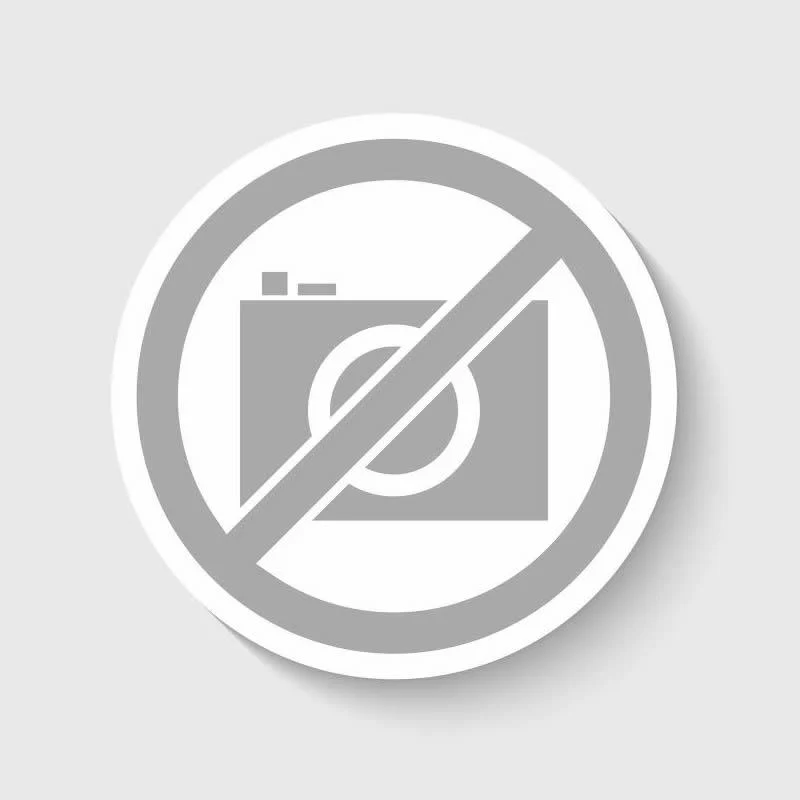 Gaggenau Accessoires de ventilation Silencieux pour conduit