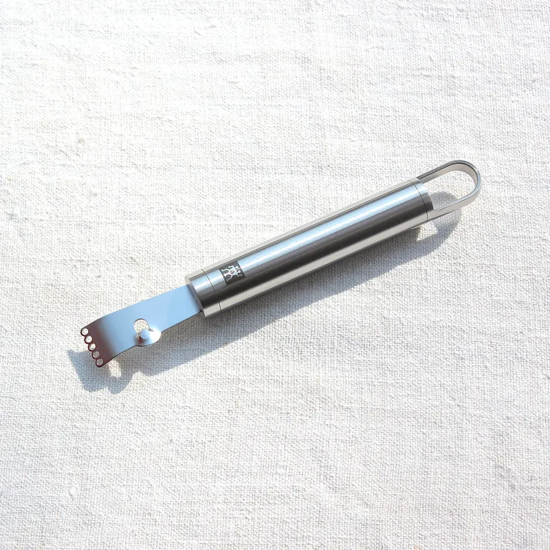 Zesteur en inox