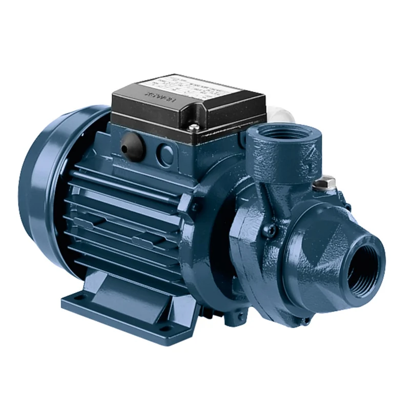 Moteur électrique périphérique Klimaline KL80 1 HP pour autoclave à eau