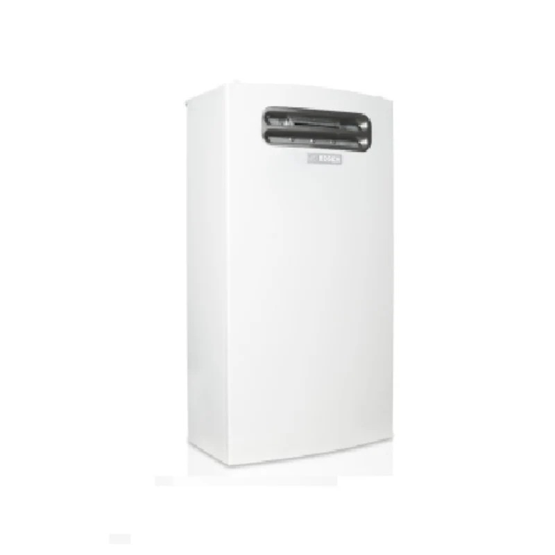 Chauffe-eau à gaz naturel JUNKERS BOSCH THERM 4600 SO de 15 litres
