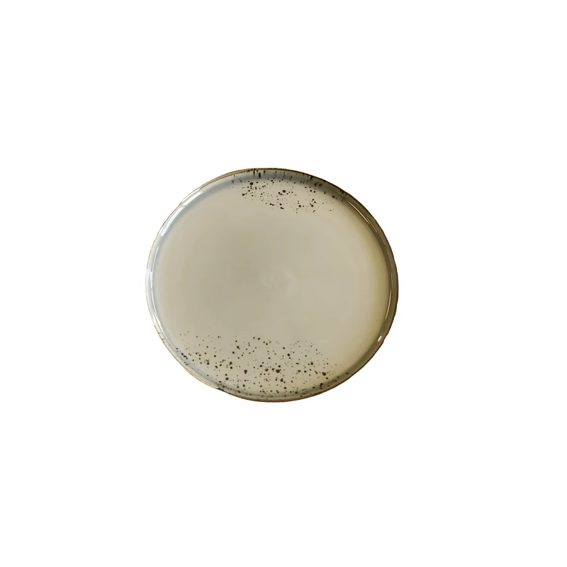 ASSIETTE 9.5" GRISE "TERRA" KAYALI
