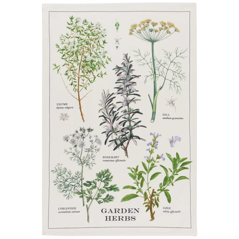 LINGE À VAISSELLE HERBES FRAÎCHES DANICA