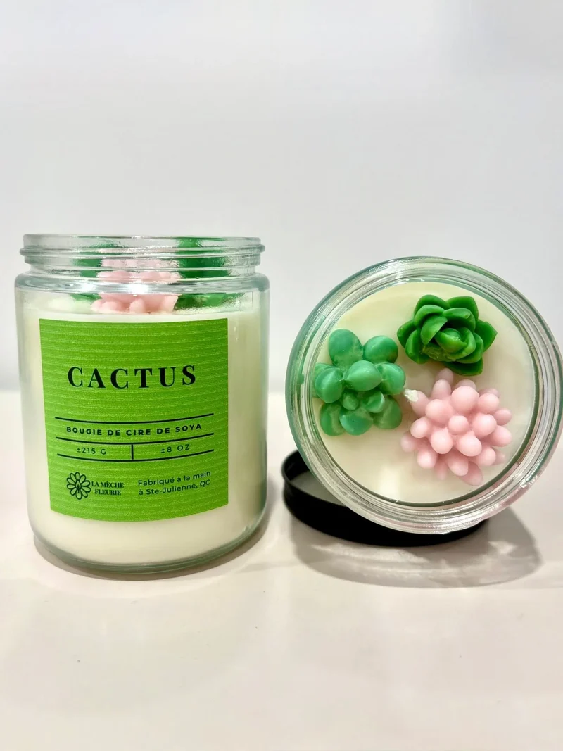 CHANDELLE CACTUS LA MÈCHE FLEURIE