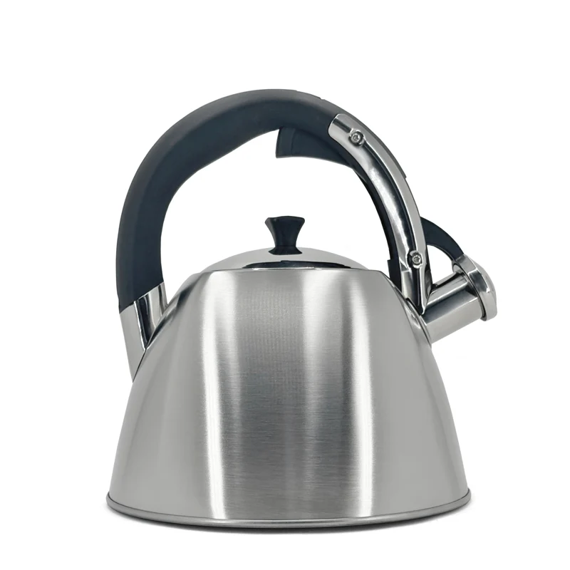 BOUILLOIRE SIFFLANTE 2.9 L. ACIER INOX. DANESCO