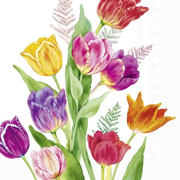 PQT (20) SERVIETTES "TULIPES BRILLANTES" CARSIM
