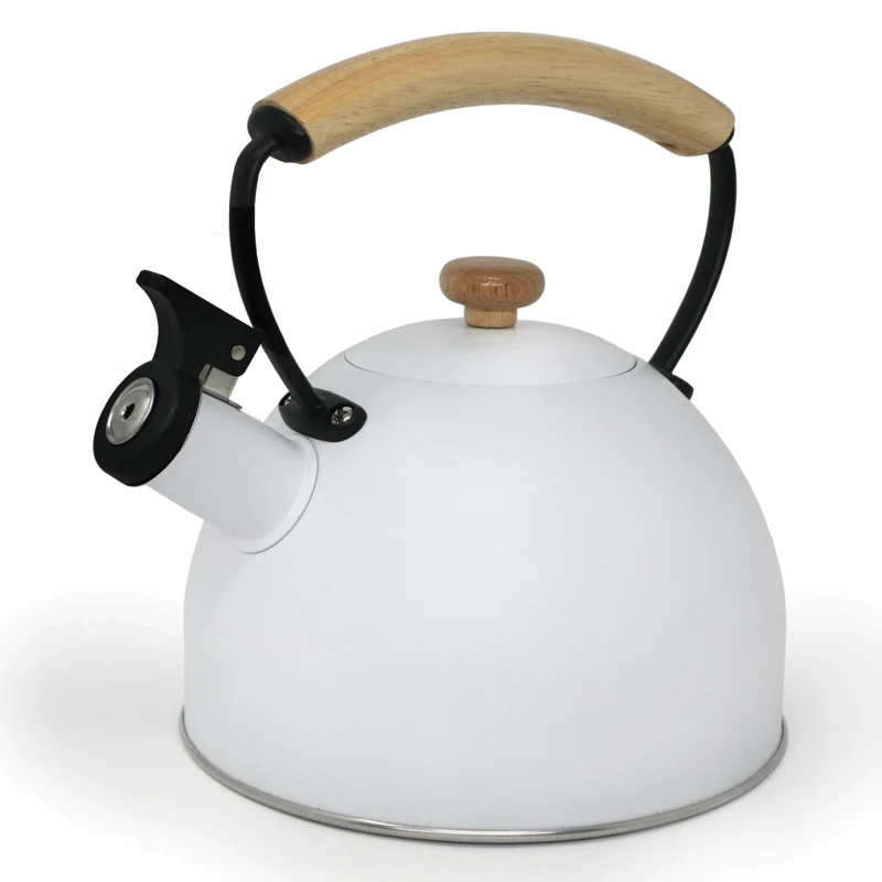 BOUILLOIRE SIFFLANTE 2.5 L BLANCHE DANESCO