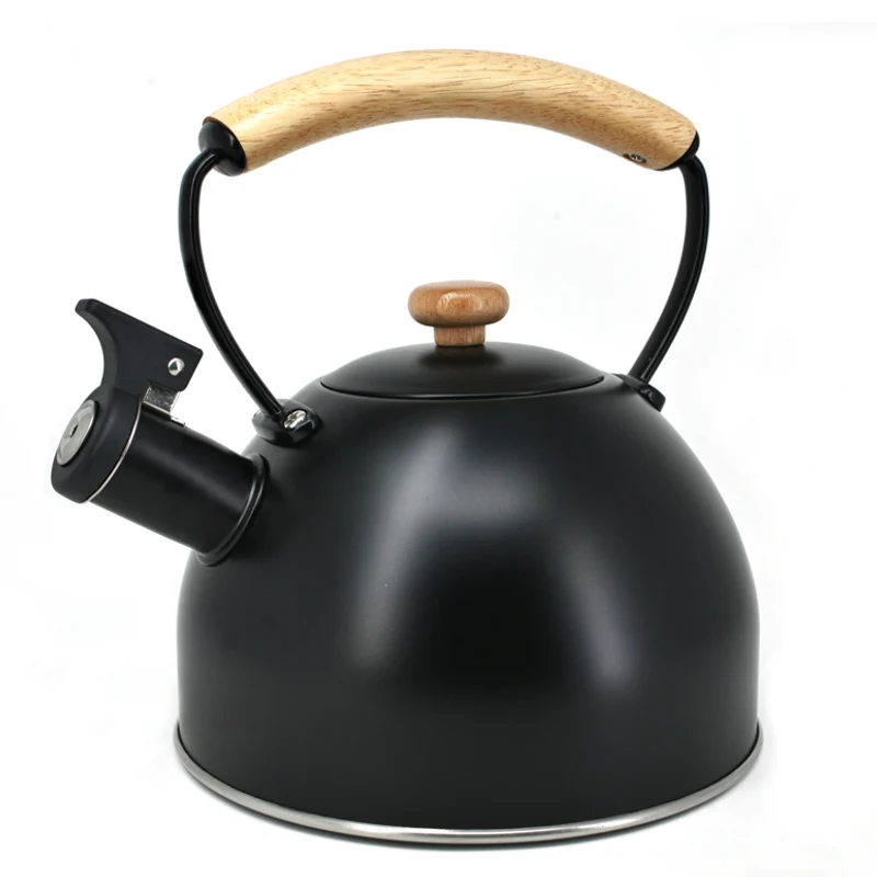 BOUILLOIRE SIFFLANTE 2.5 L NOIRE DANESCO