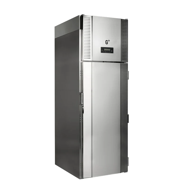 Gram Professional Roll-In Blast Chiller BC50A