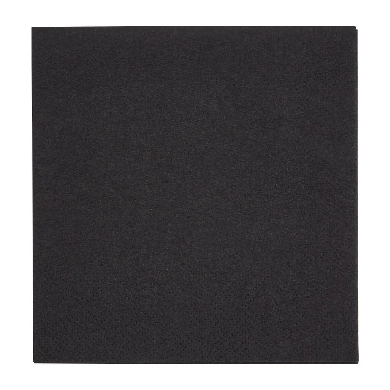 Fiesta Recyclable Cocktail Napkin Black 24x24cm 2ply 1/4 Fold (Pack of 4000)